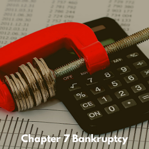 Chapter 7 bankruptcy
